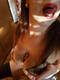 Private Photo of sexmorena