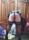 Private Photo of niky_69